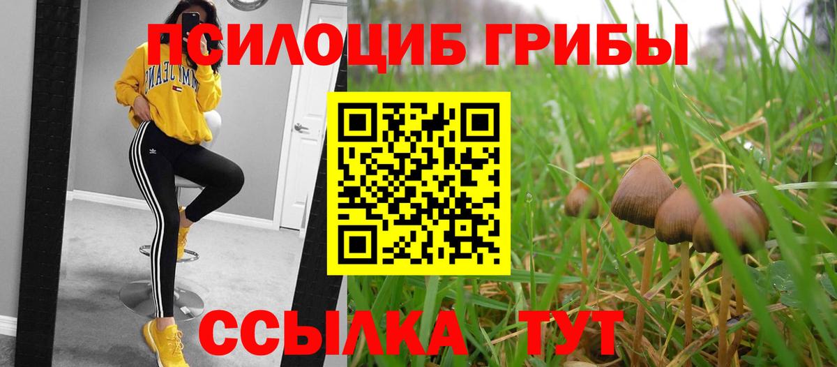 Псилоцибиновые грибы Cubensis  Вход с VPN  Алатырь  Галлюциногенные грибы MAGIC MUSHROOMS 