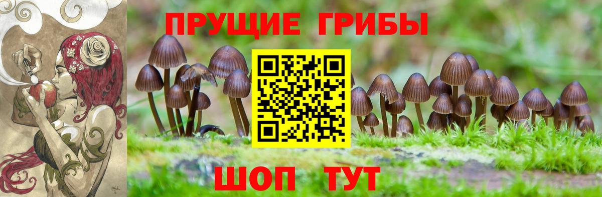 Галлюциногенные грибы мицелий Алатырь